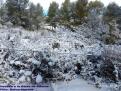 Nevada a la Serra d'Alfabia 4