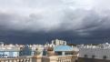 Palma inici de tormenta