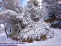 Nevada a la Serra d'Alfabia 3