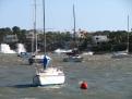 Temporal Portocolom