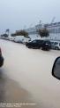 Molta pluja a l'Hipodrom de Palma